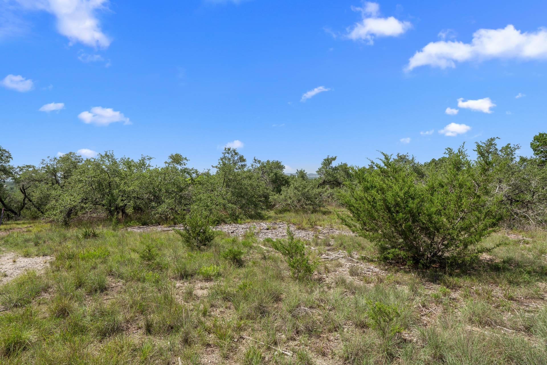 31860 Mirela Ann Road Dripping Springs TX 78620