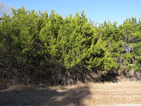 10784 Highview Drive Belton TX 76513