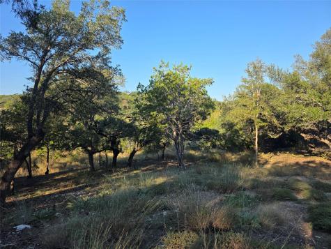 201 Sycamore Valley Road Dripping Springs TX 78620
