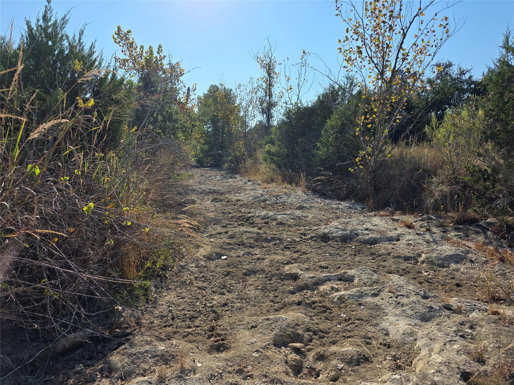 201 Sycamore Valley Road Dripping Springs TX 78620