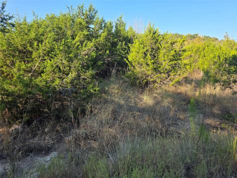 201 Sycamore Valley Road Dripping Springs TX 78620