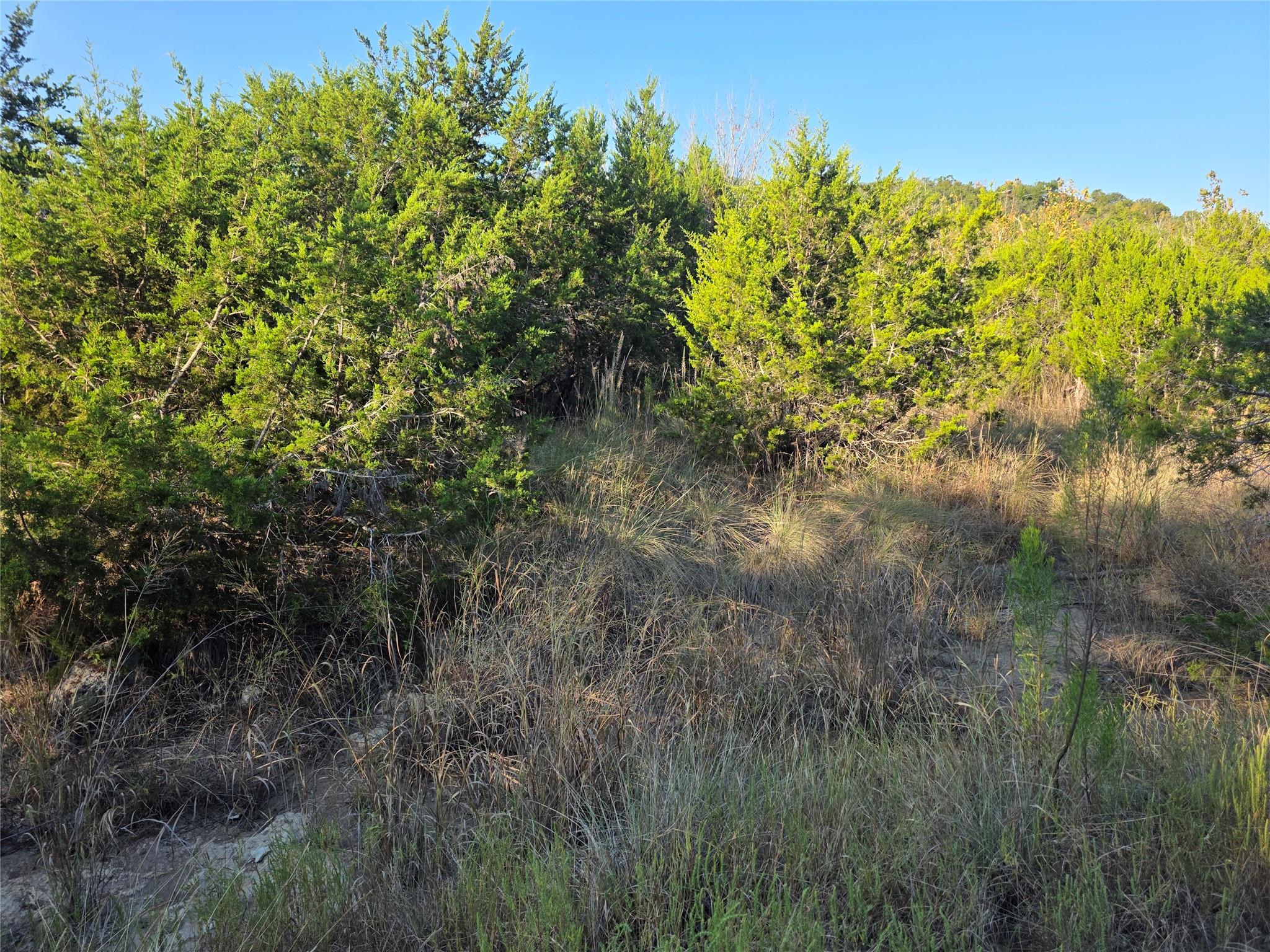 201 Sycamore Valley Road Dripping Springs TX 78620