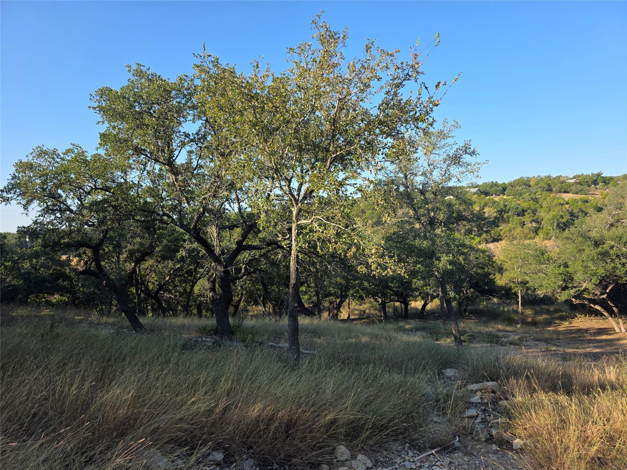 201 Sycamore Valley Road Dripping Springs TX 78620
