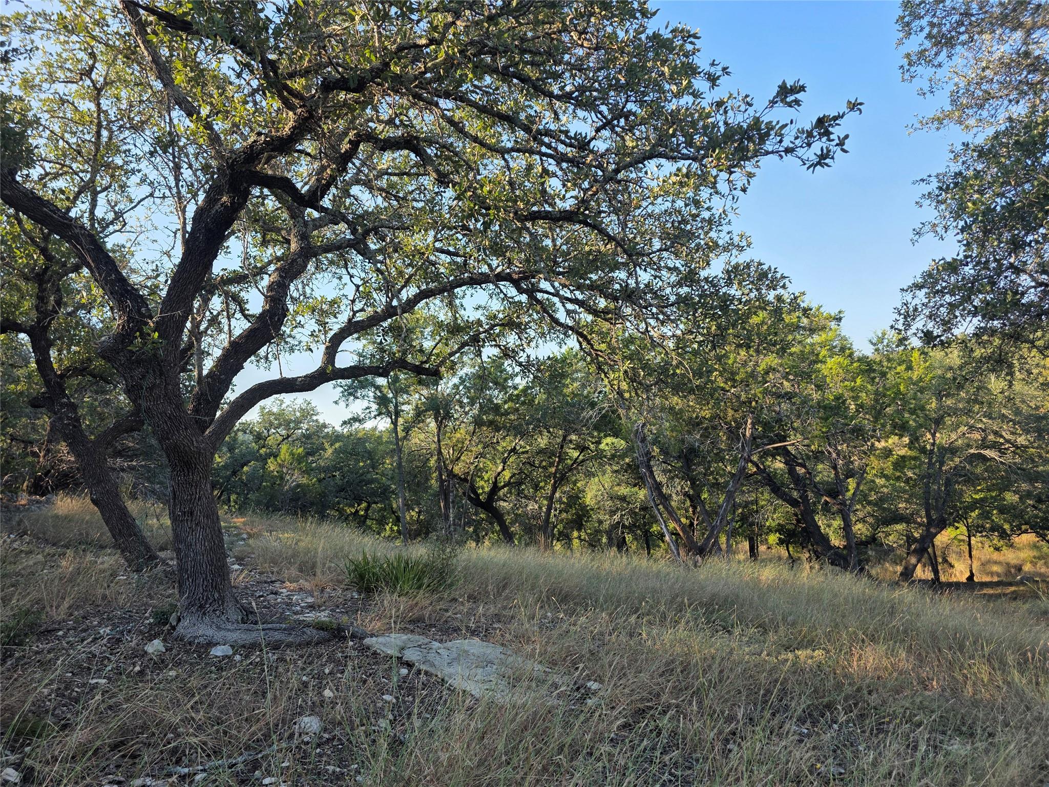 201 Sycamore Valley Road Dripping Springs TX 78620
