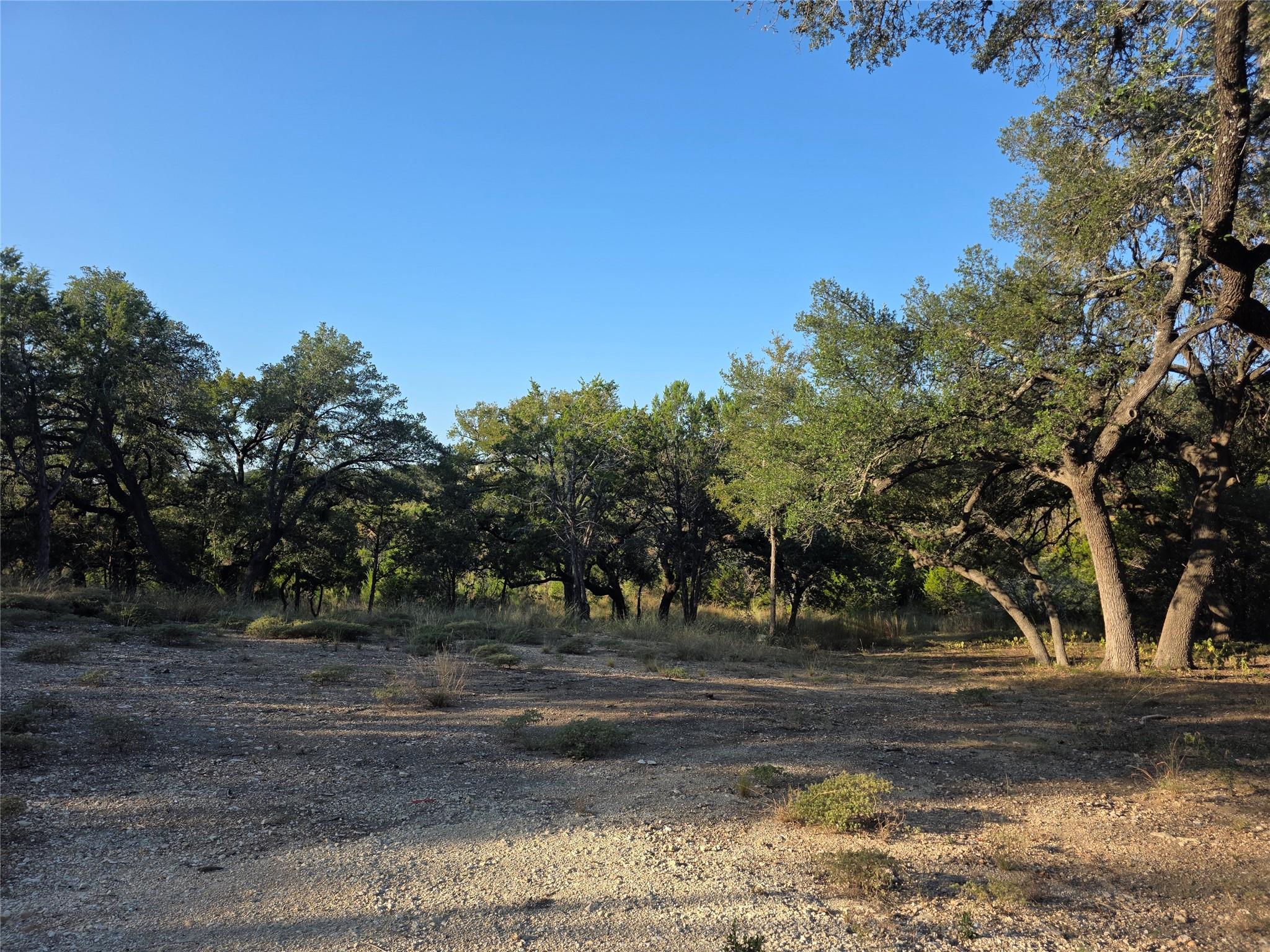 201 Sycamore Valley Road Dripping Springs TX 78620