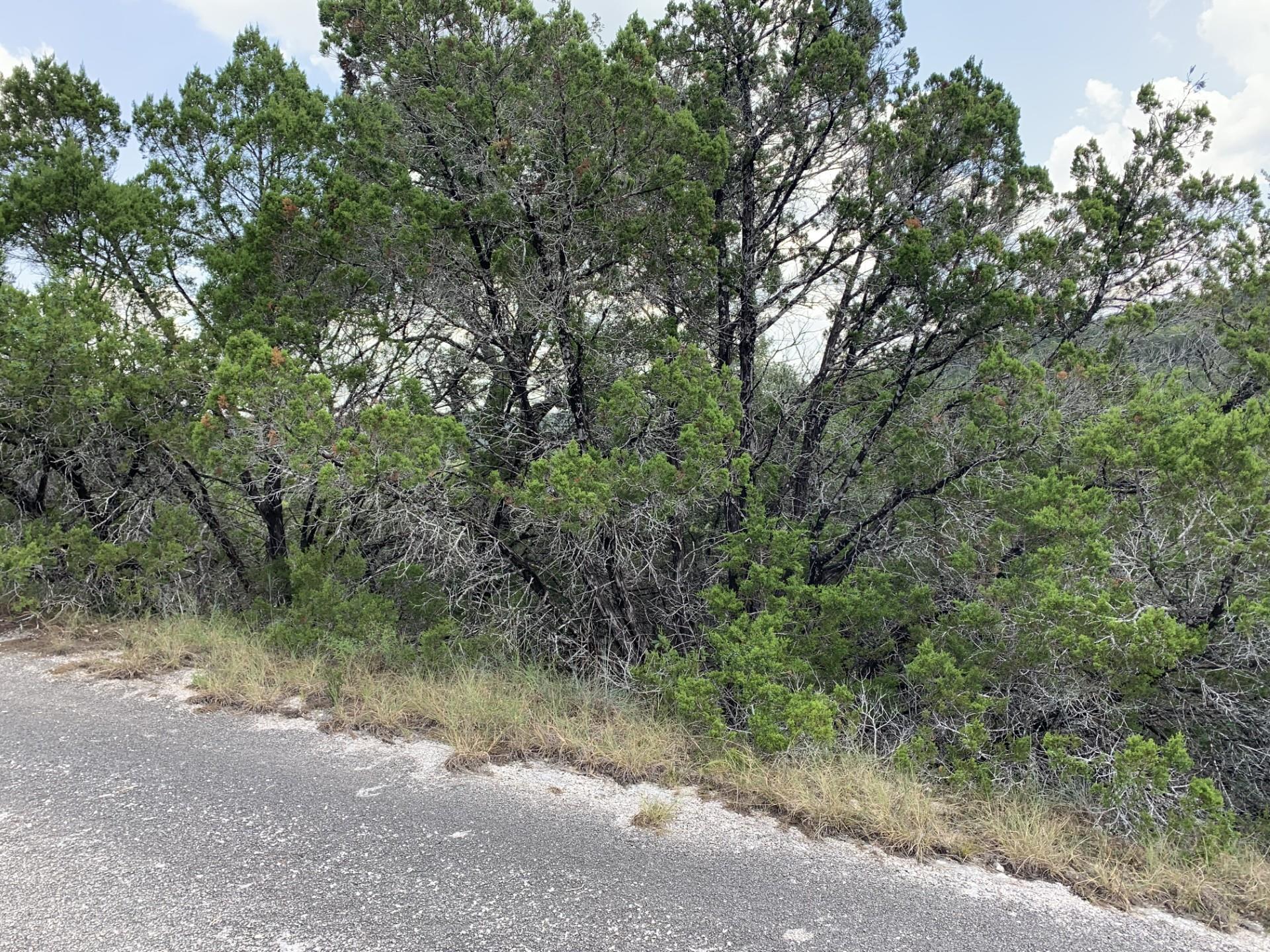 8607 Teton Pass Lago Vista TX 78645