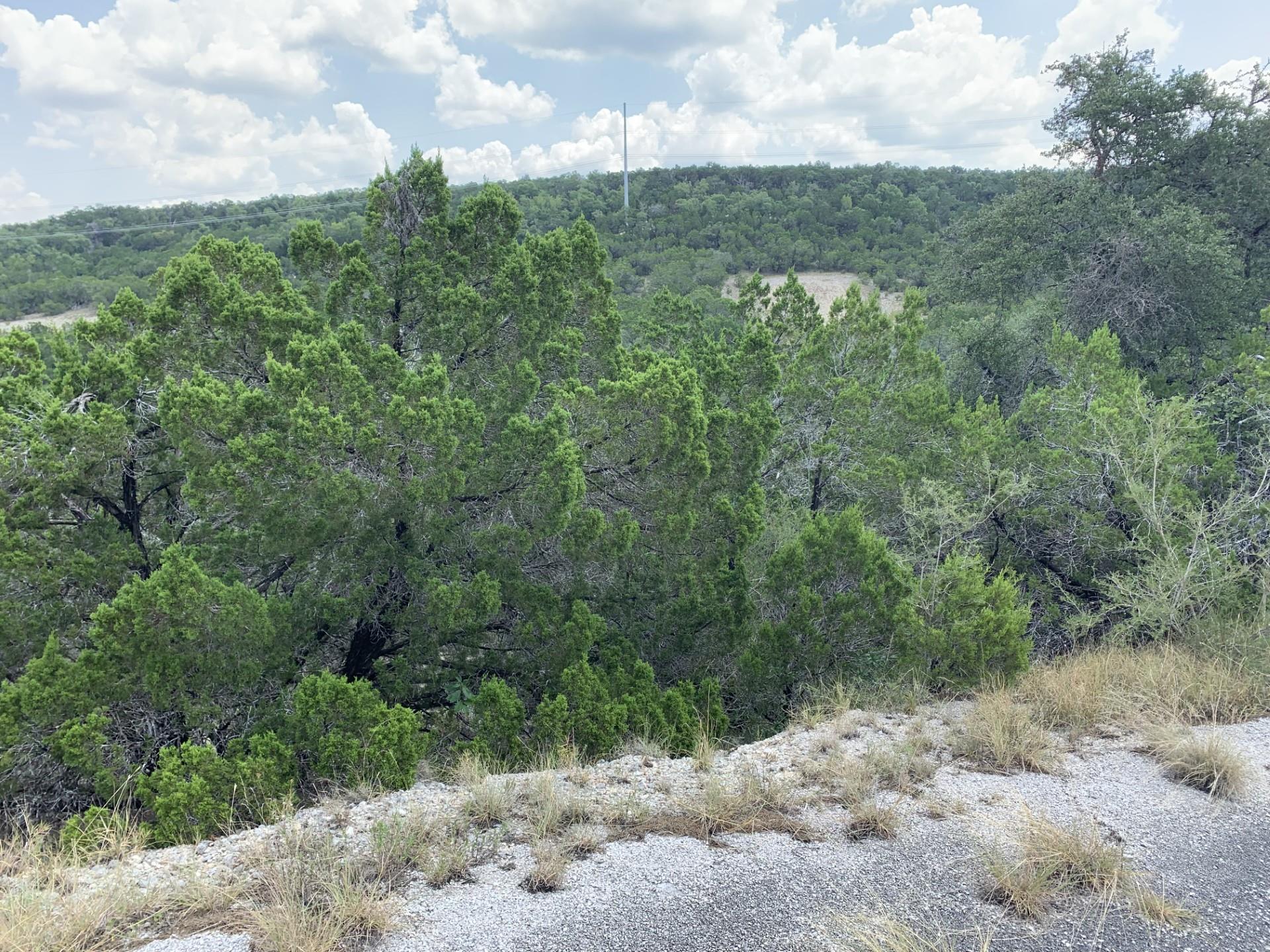 8607 Teton Pass Lago Vista TX 78645