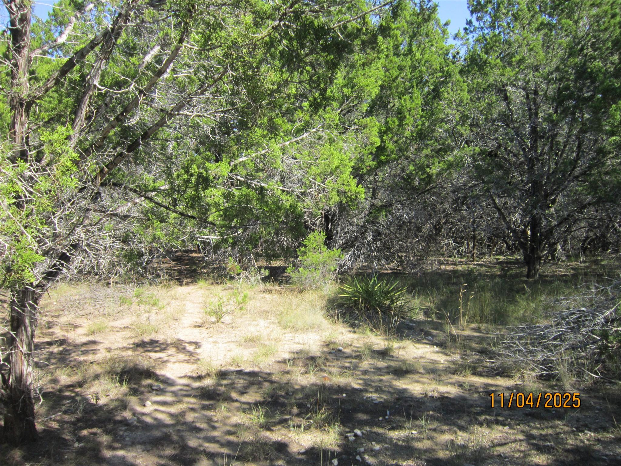 20903 Oak Dale Drive Lago Vista TX 78645