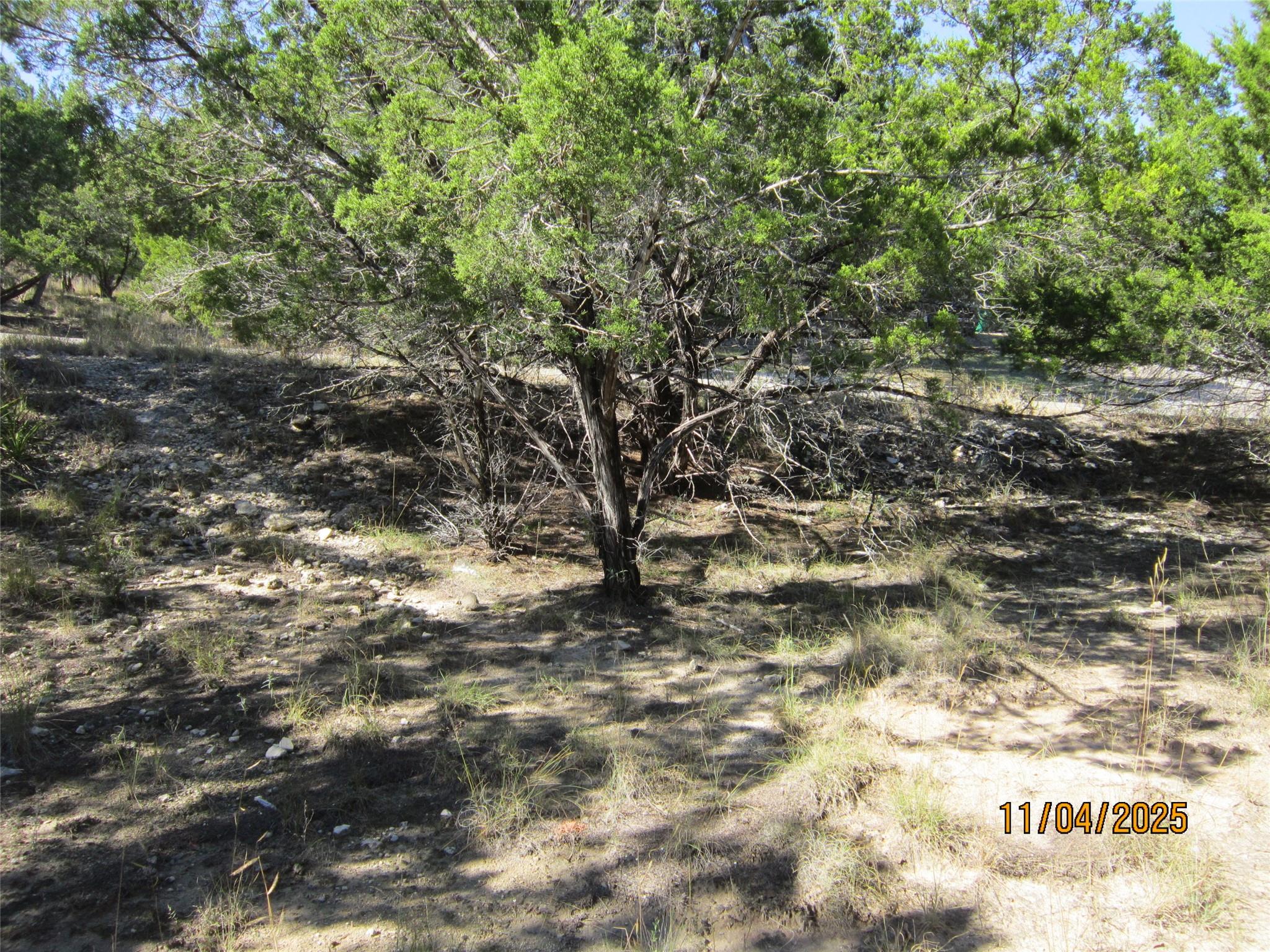 20903 Oak Dale Drive Lago Vista TX 78645