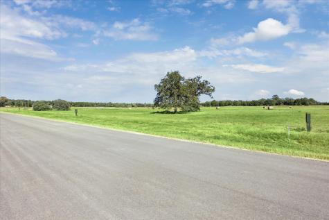 137 Waterbuck Way Rosanky TX 78953