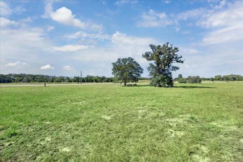 137 Waterbuck Way Rosanky TX 78953