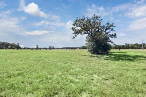 137 Waterbuck Way Rosanky TX 78953