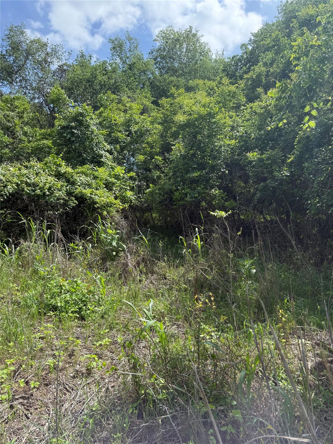 Lot 959 Riverside Drive Bastrop TX 78602