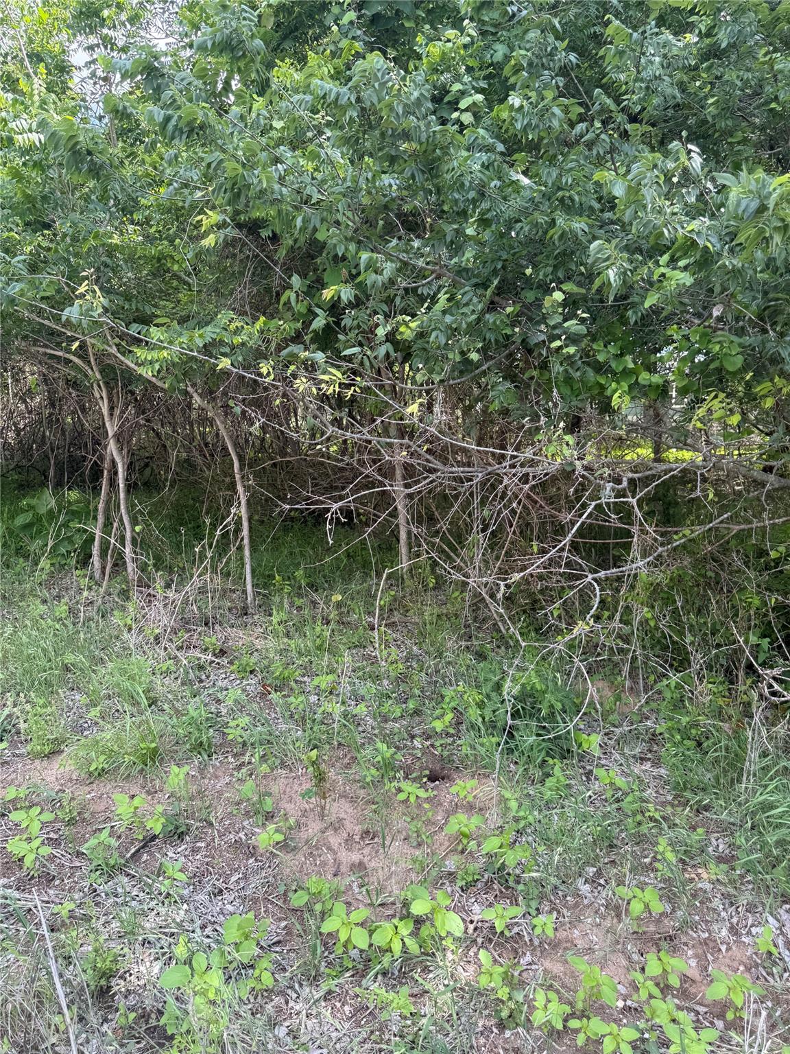 Lot 959 Riverside Drive Bastrop TX 78602