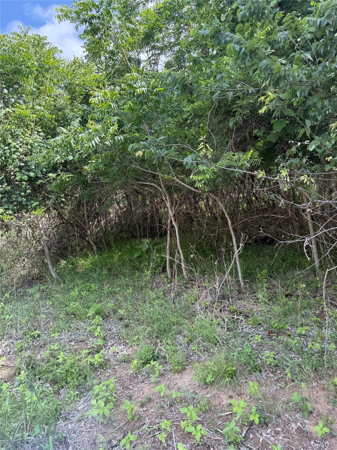 Lot 959 Riverside Drive Bastrop TX 78602