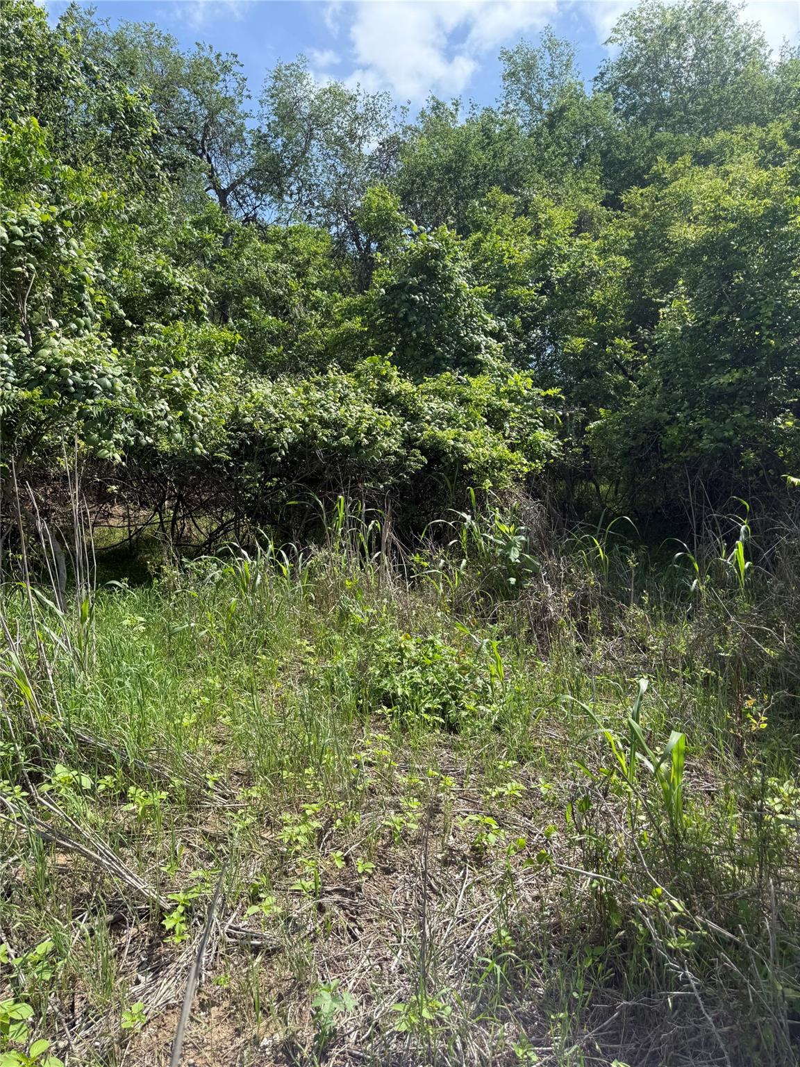 Lot 959 Riverside Drive Bastrop TX 78602