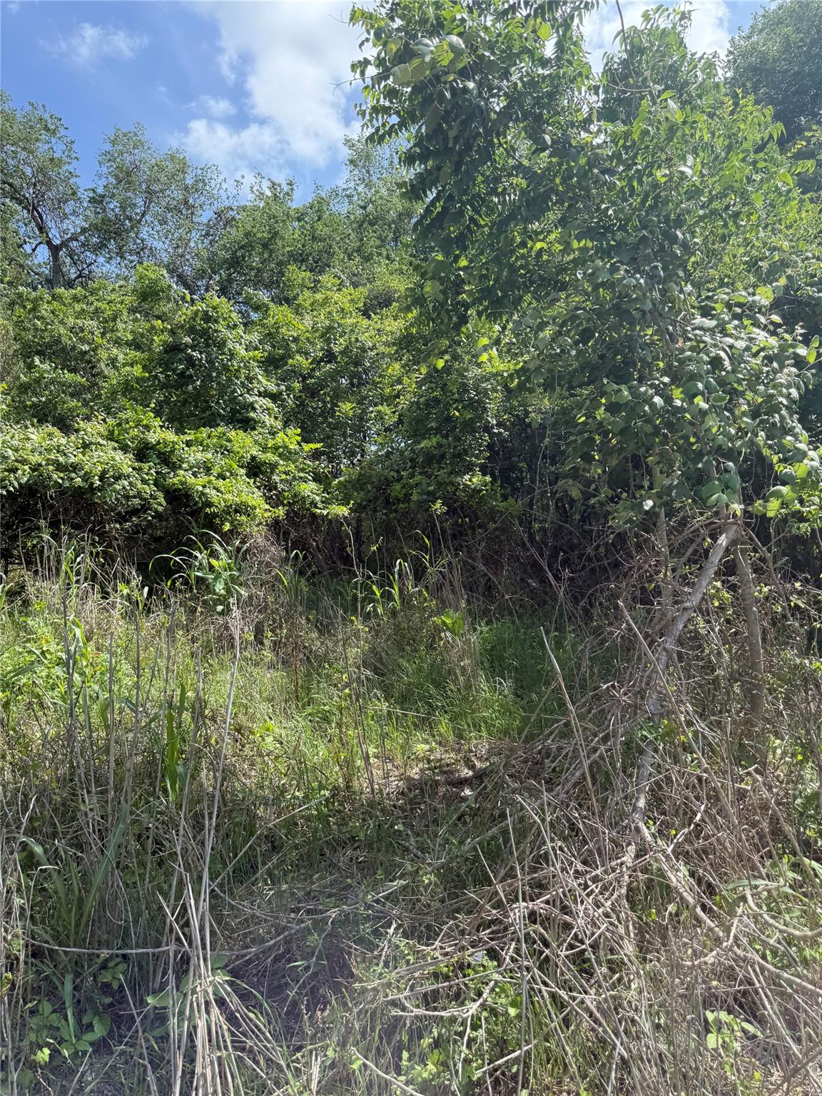 Lot 959 Riverside Drive Bastrop TX 78602
