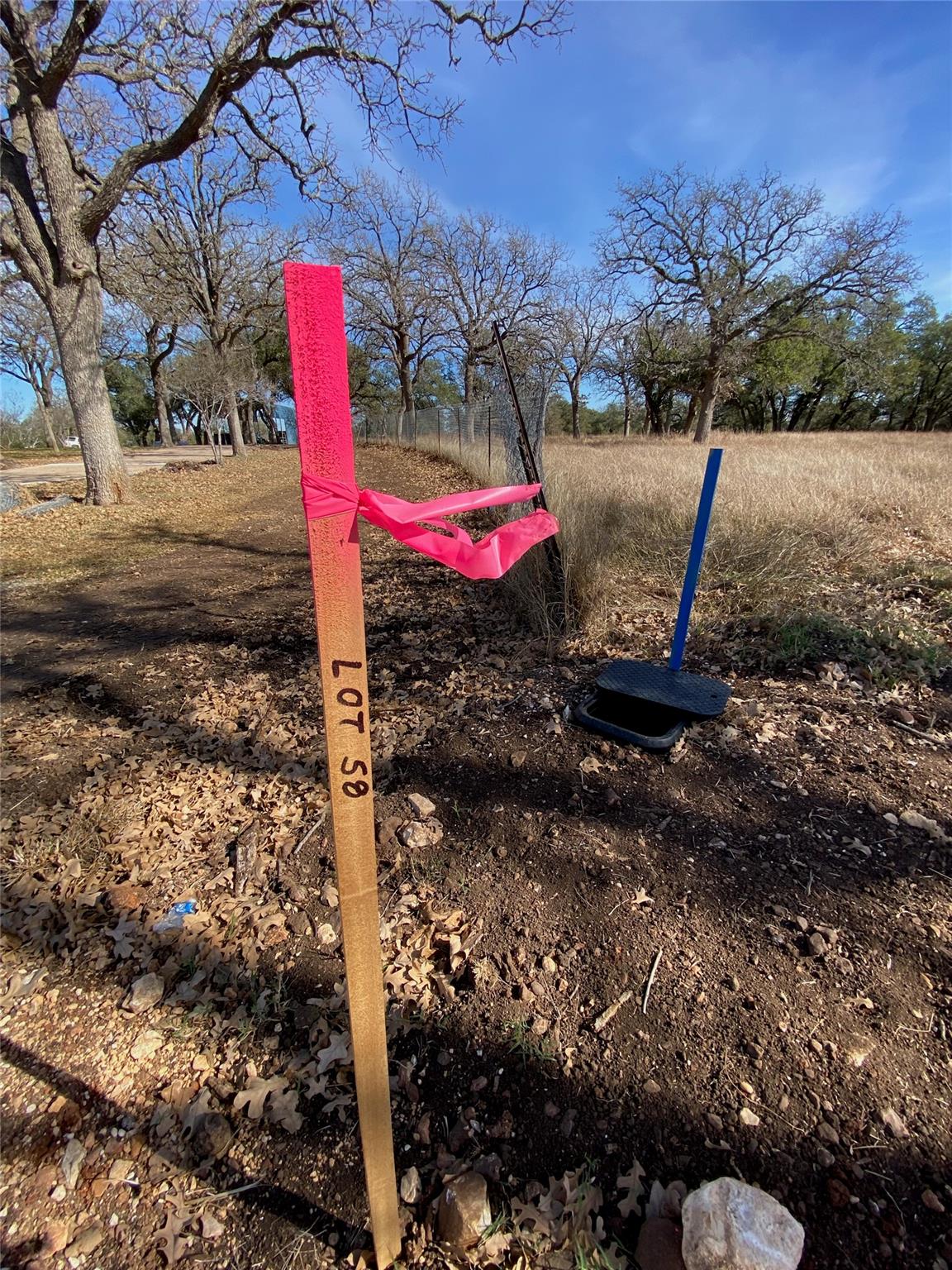 304 Lightning Ranch Point Georgetown TX 78628