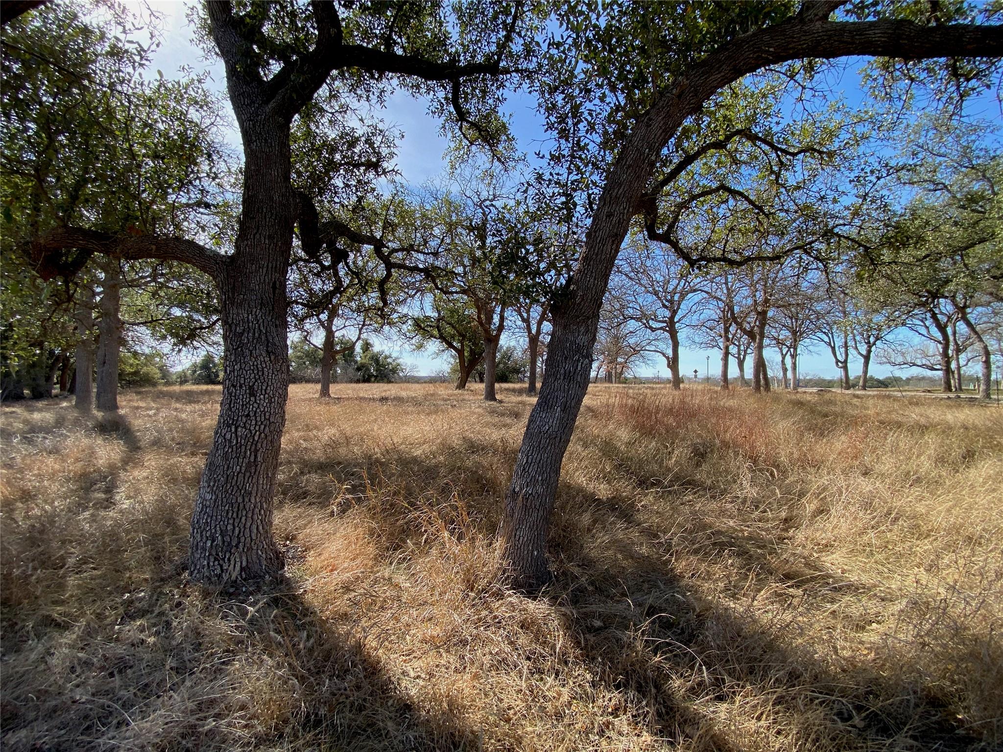 304 Lightning Ranch Point Georgetown TX 78628