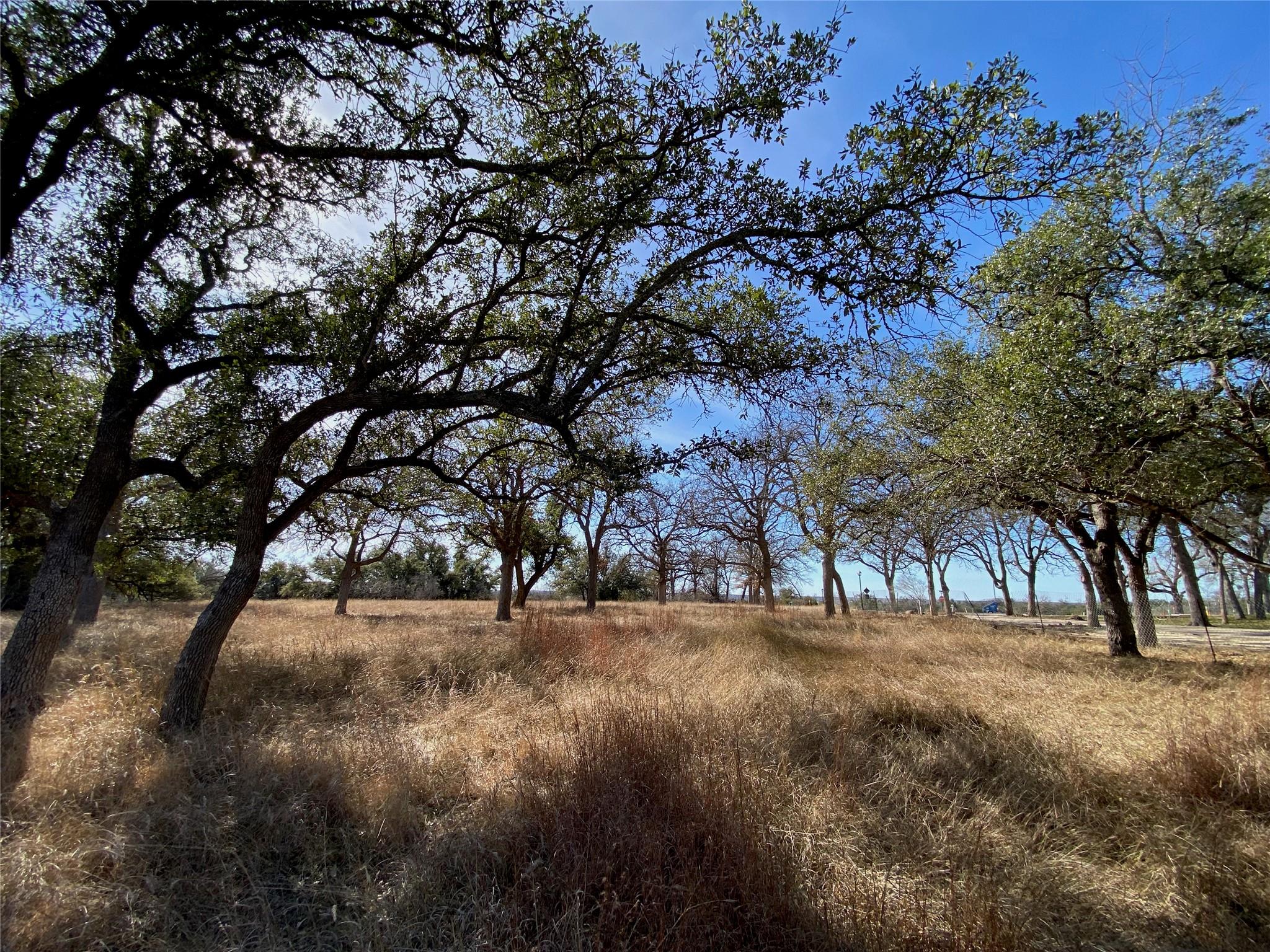 304 Lightning Ranch Point Georgetown TX 78628