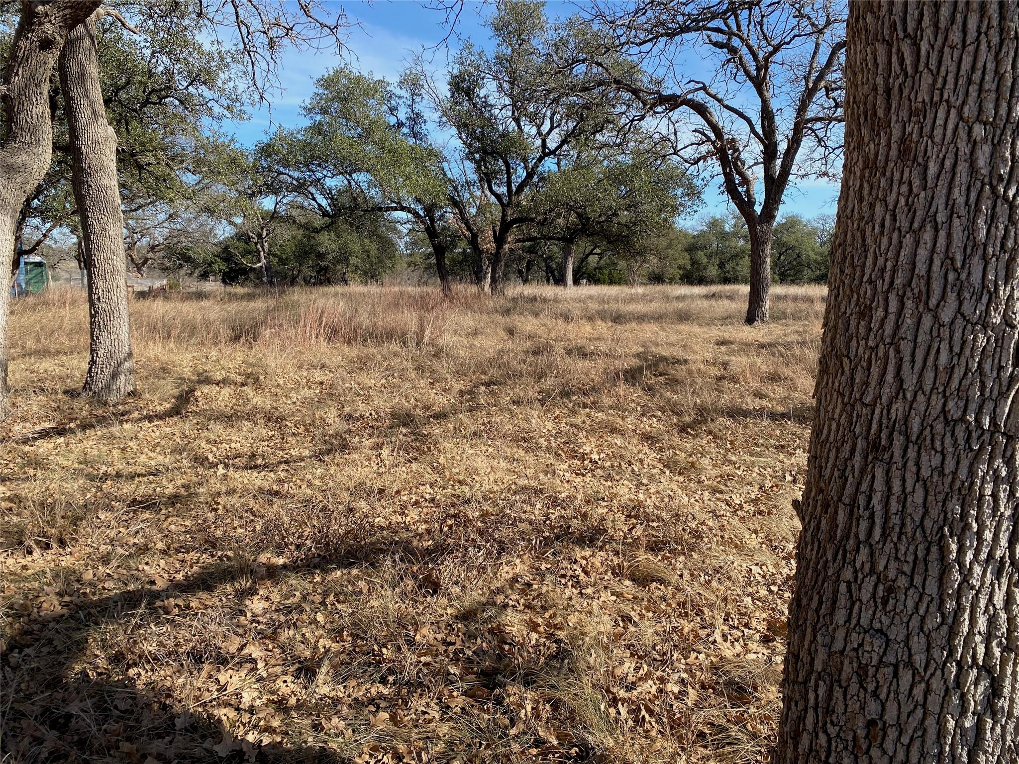 304 Lightning Ranch Point Georgetown TX 78628