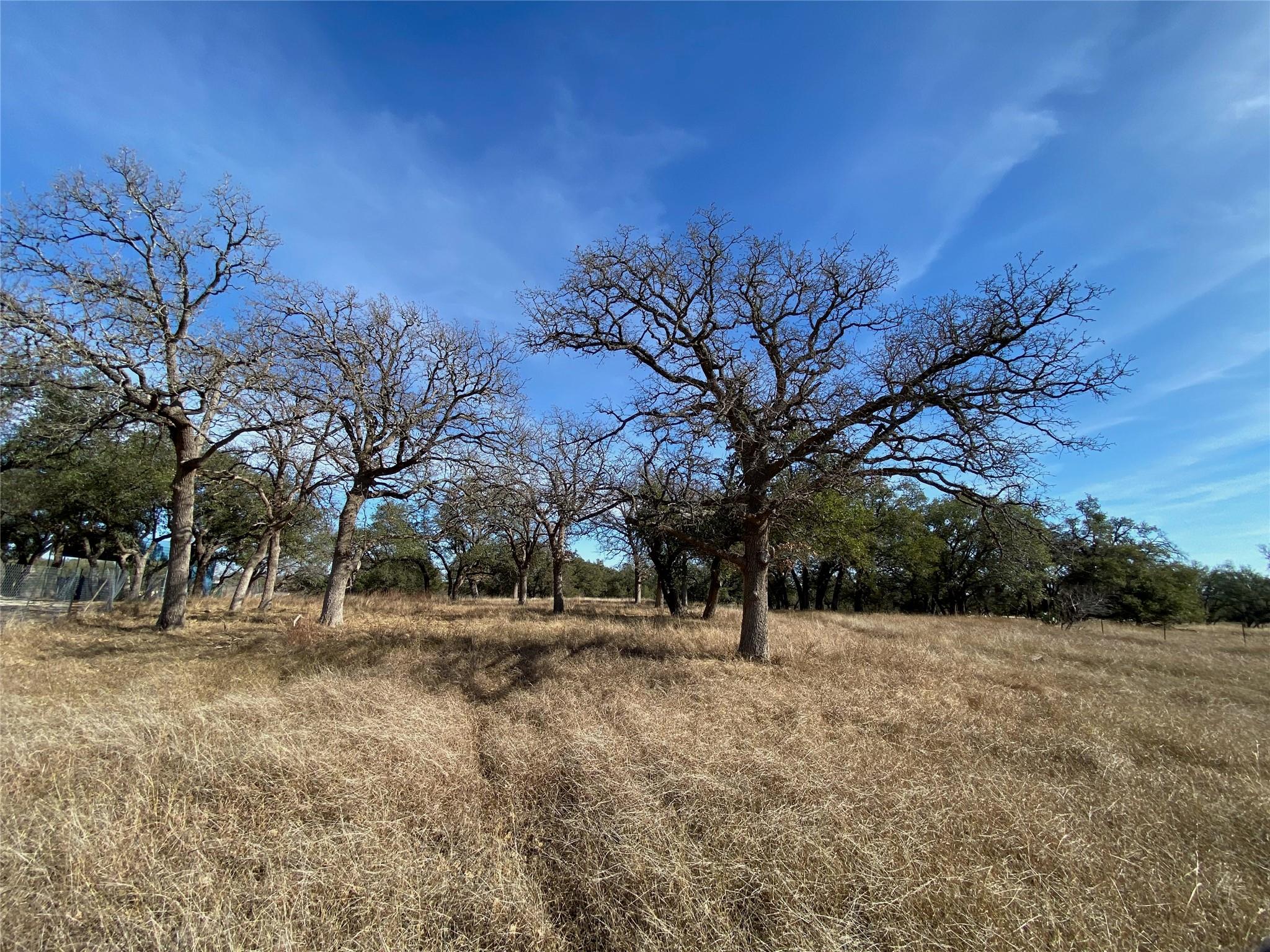 304 Lightning Ranch Point Georgetown TX 78628