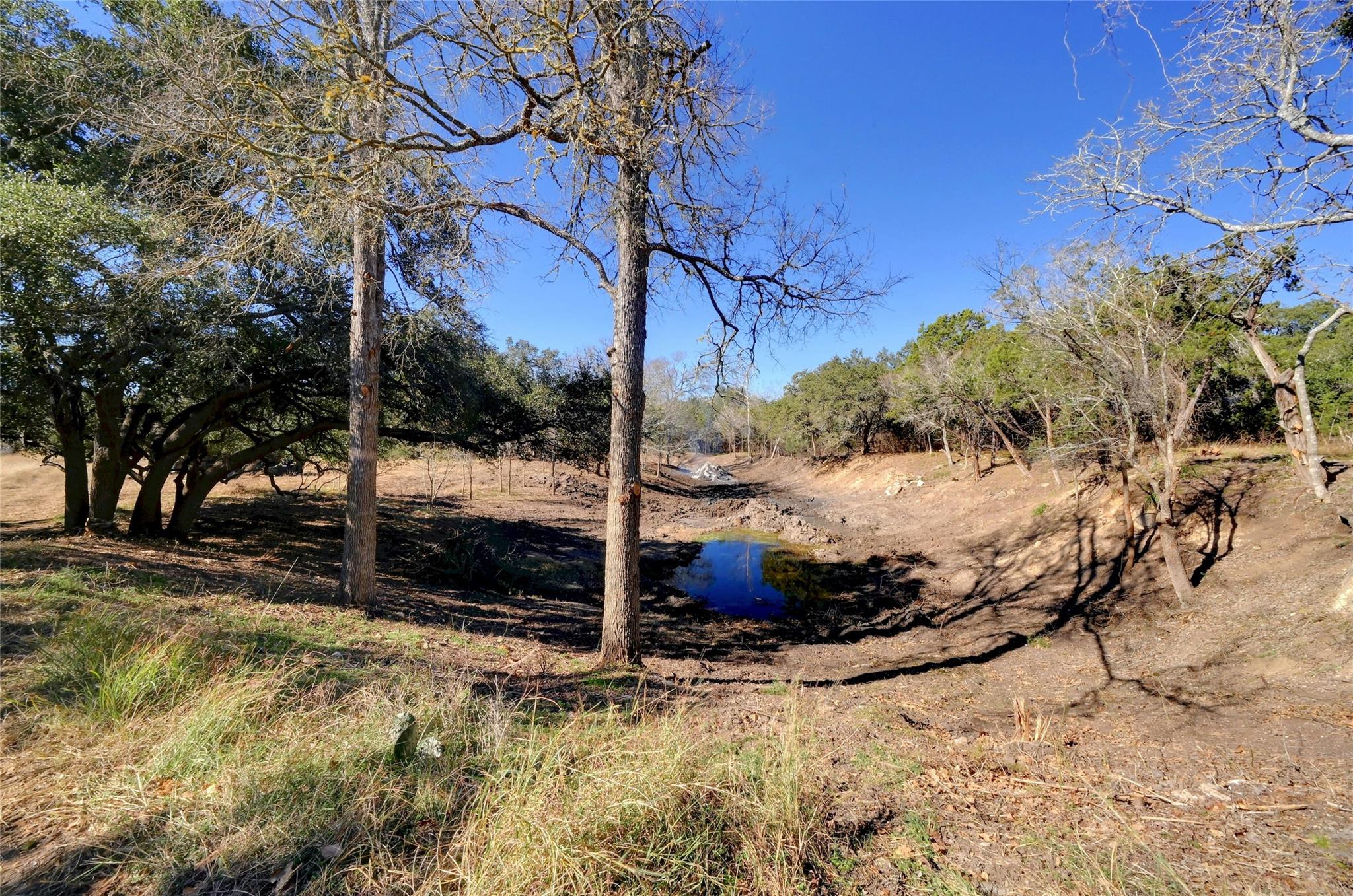 Lot A Ranch Road 165 Road Blanco TX 78606