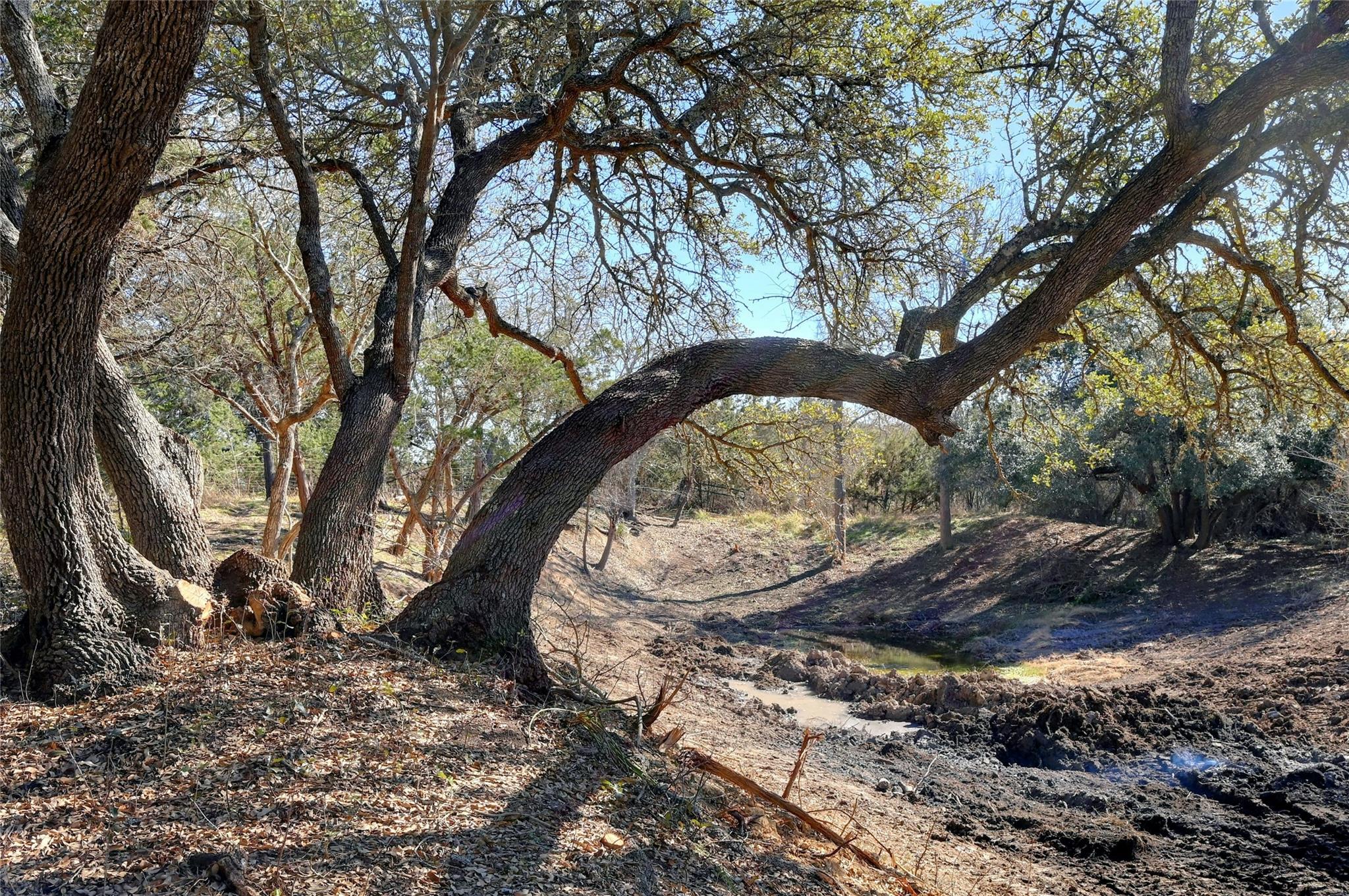 Lot A Ranch Road 165 Road Blanco TX 78606