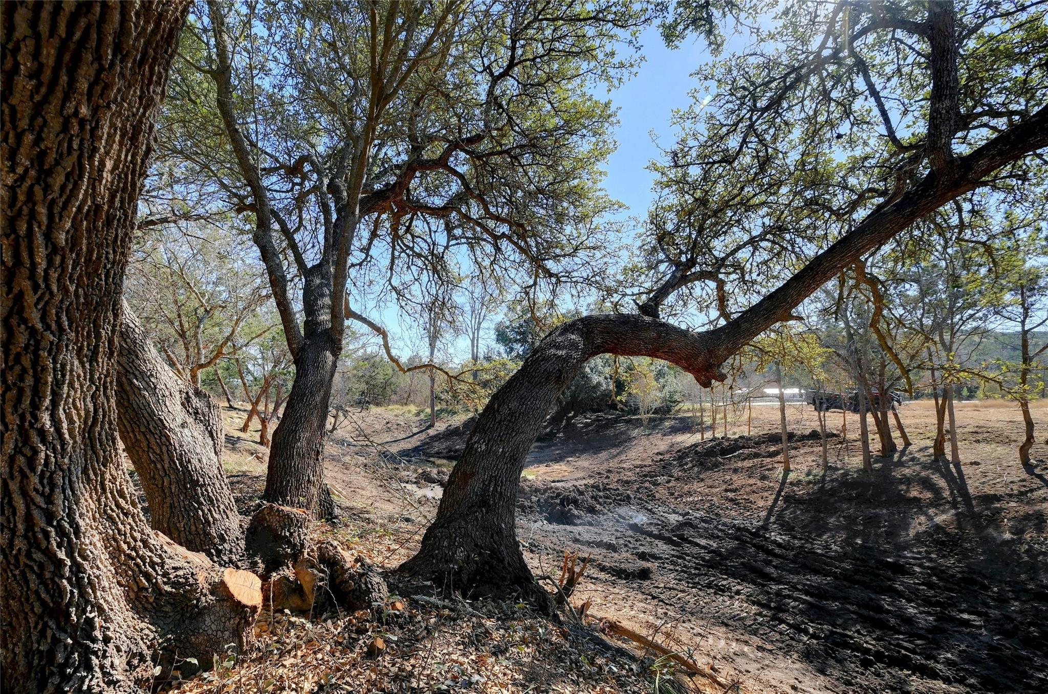 Lot A Ranch Road 165 Road Blanco TX 78606
