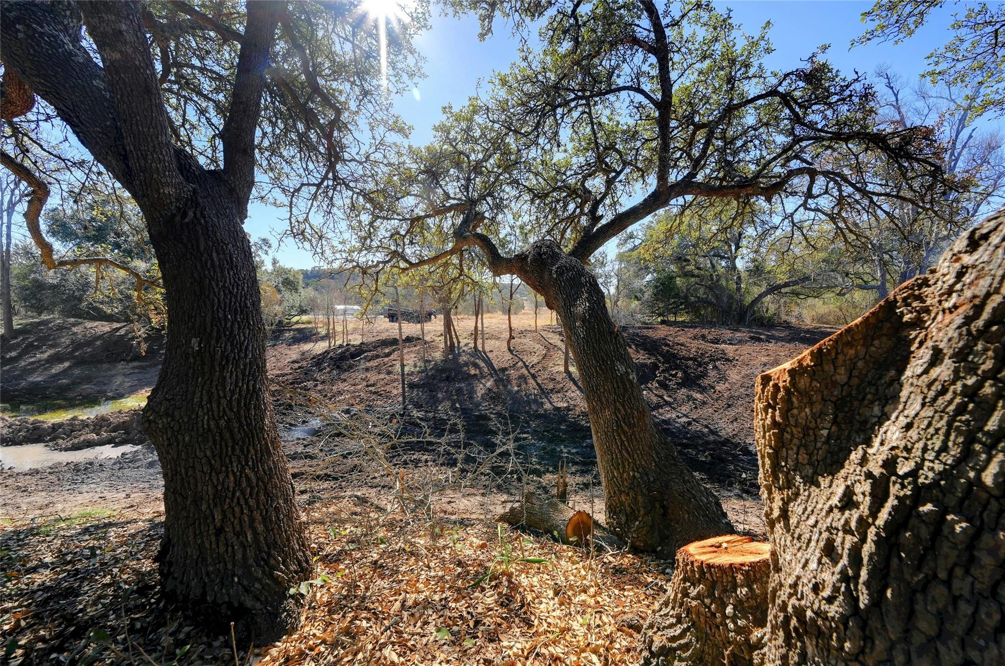 Lot A Ranch Road 165 Road Blanco TX 78606