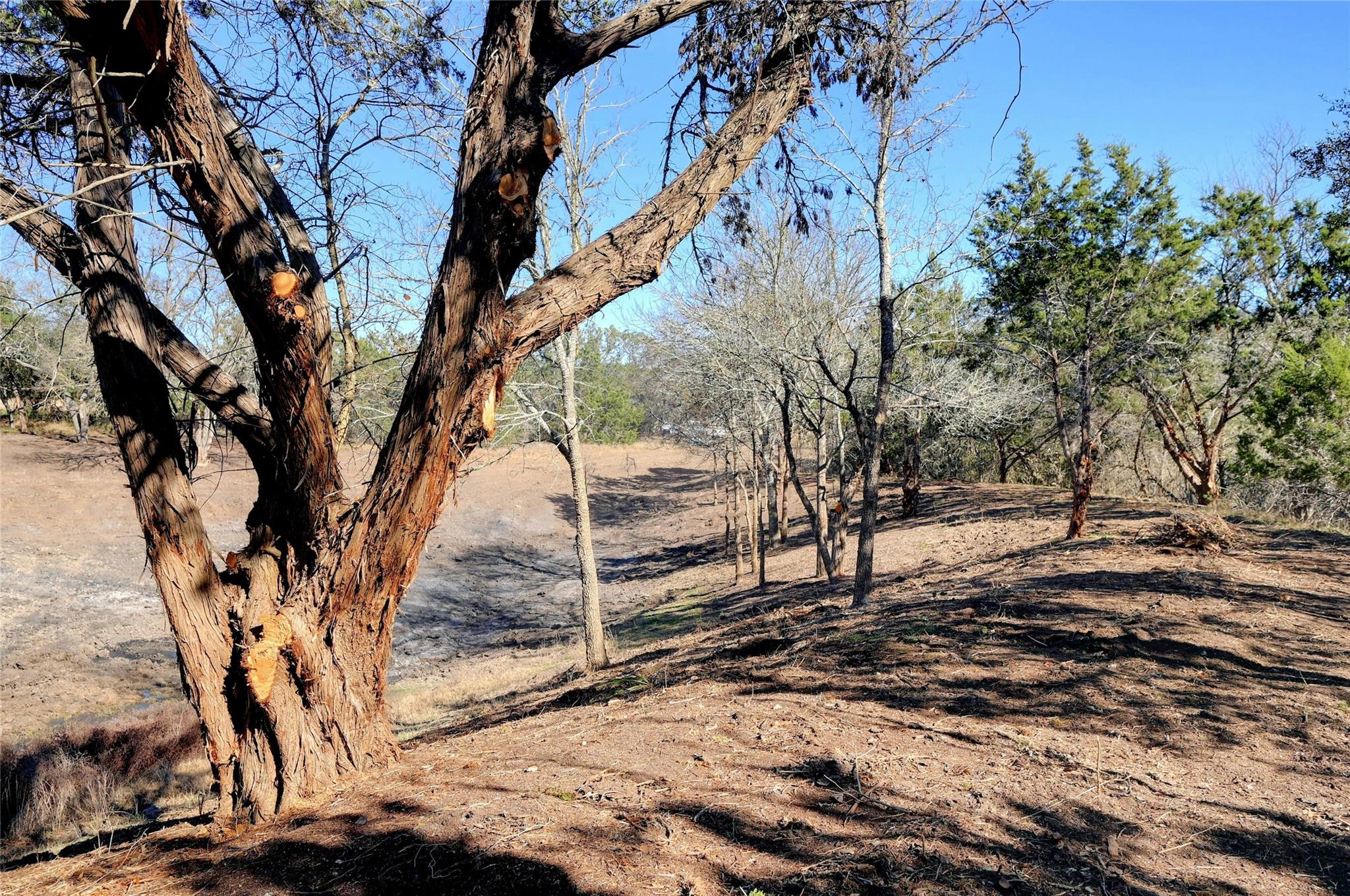 Lot A Ranch Road 165 Road Blanco TX 78606