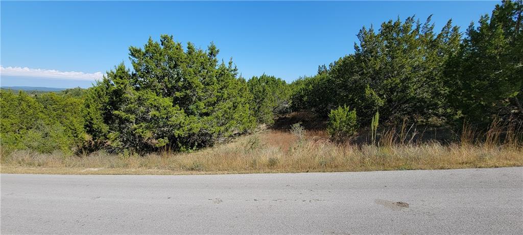 22317 Briarcliff Drive Spicewood TX 78669