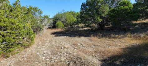 22317 Briarcliff Drive Spicewood TX 78669