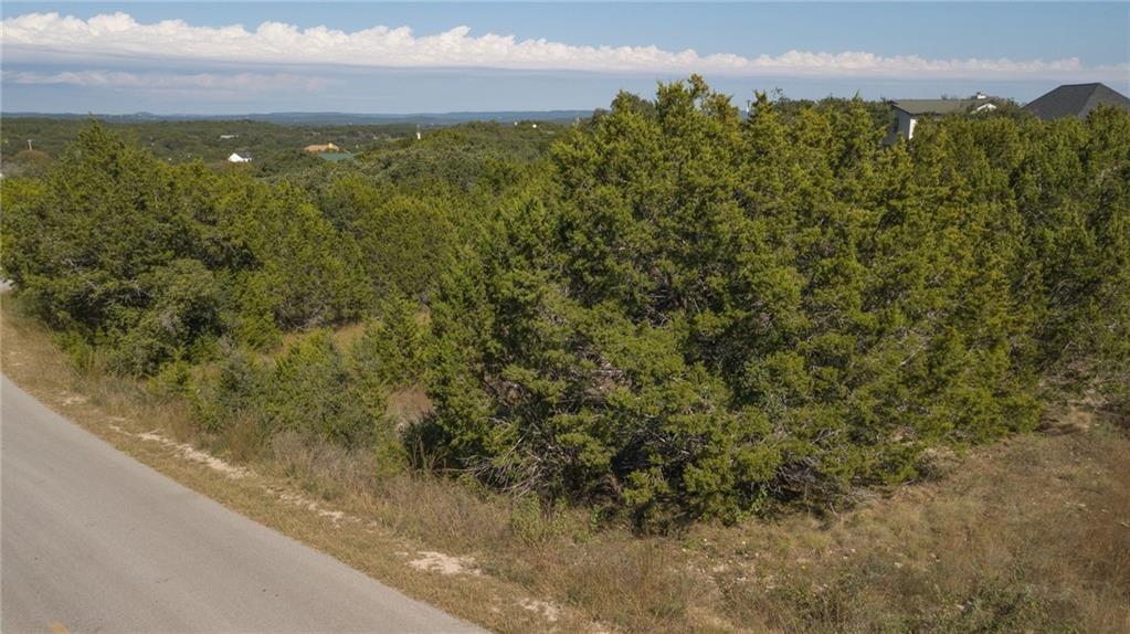 22317 Briarcliff Drive Spicewood TX 78669