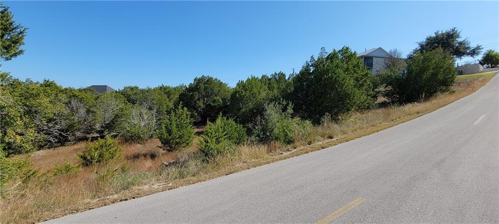22317 Briarcliff Drive Spicewood TX 78669