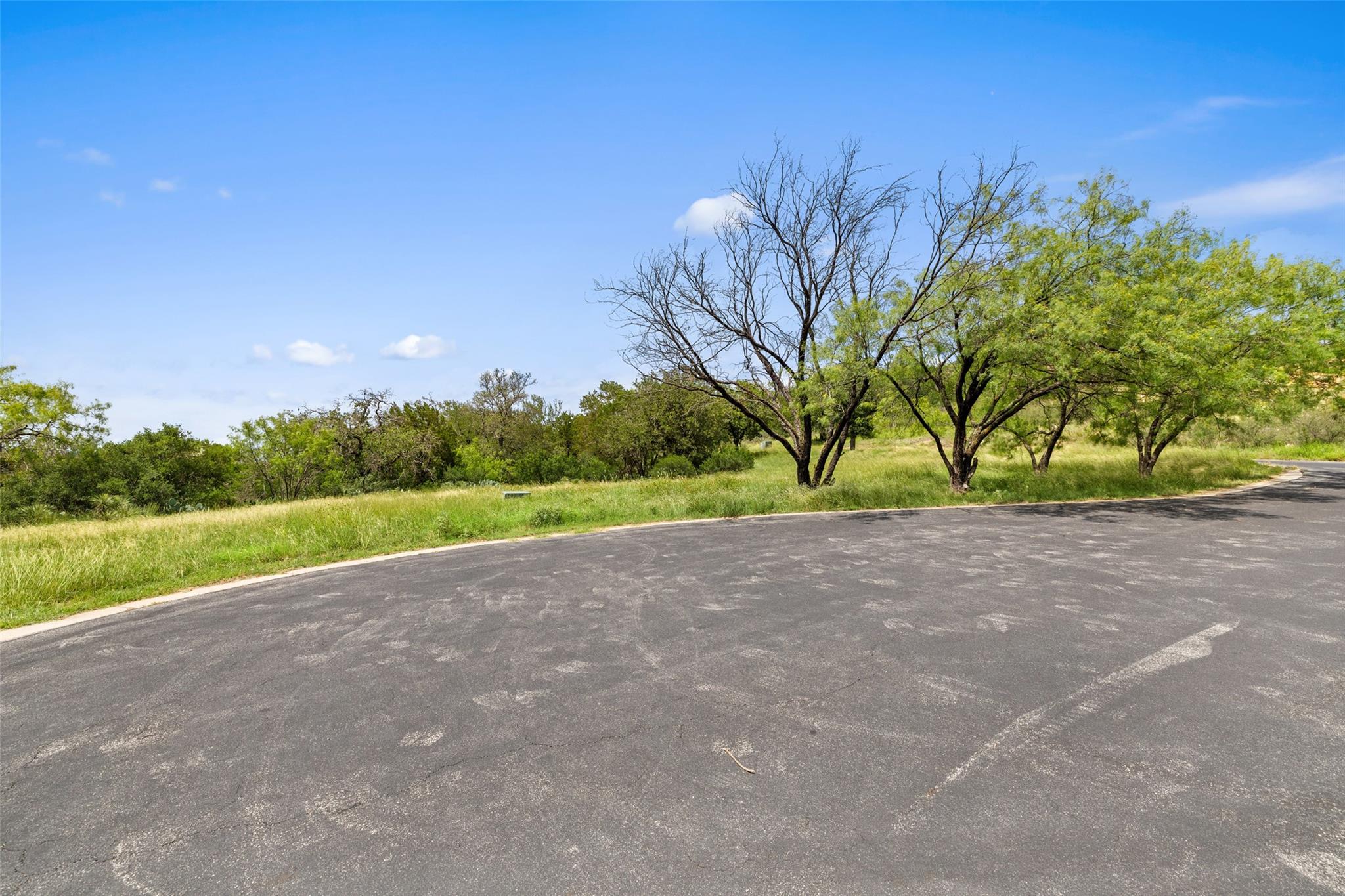 W28039 Wild Horses Horseshoe Bay TX 78657