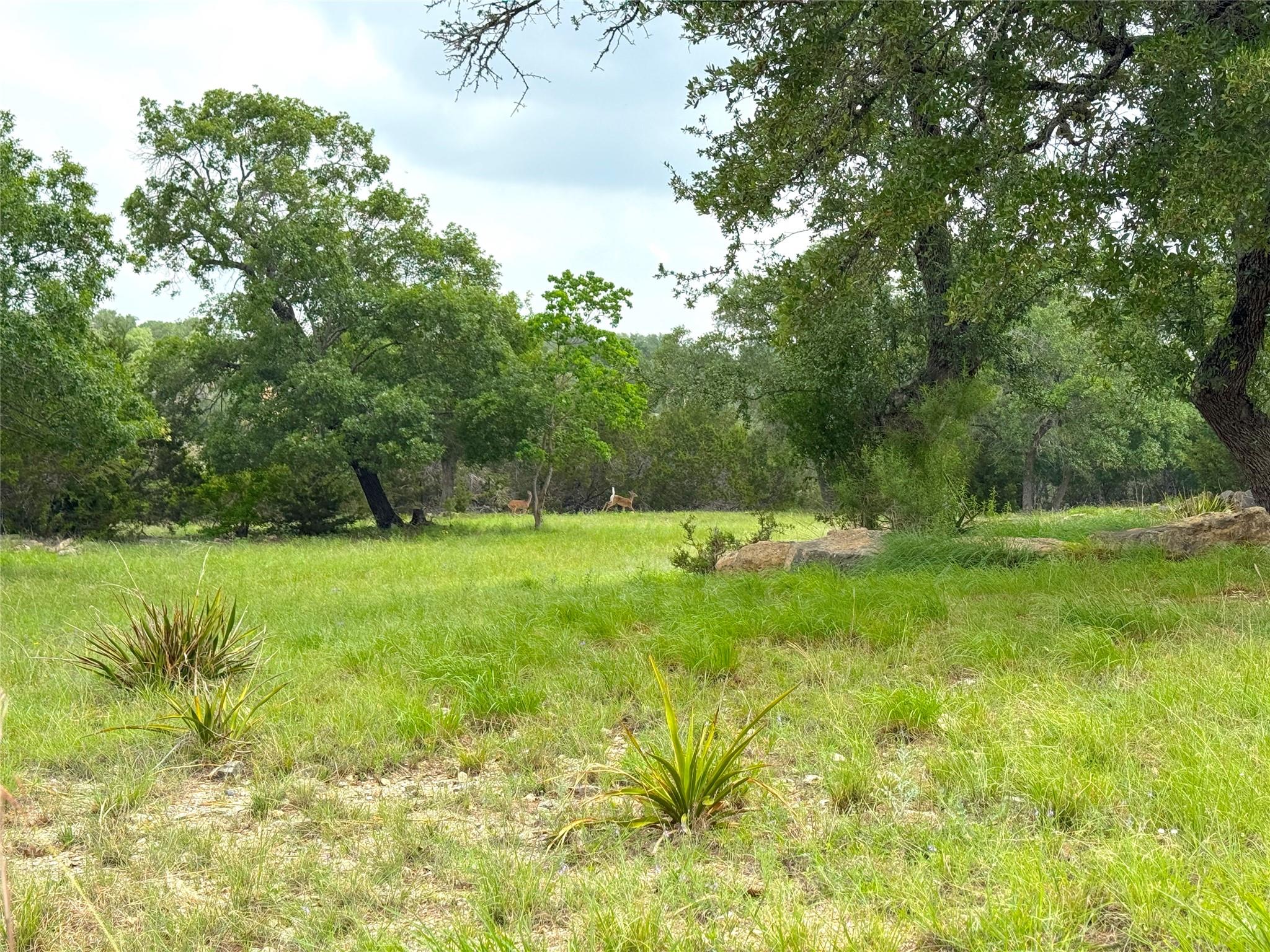 726 Caballo Trail Canyon Lake TX 78133