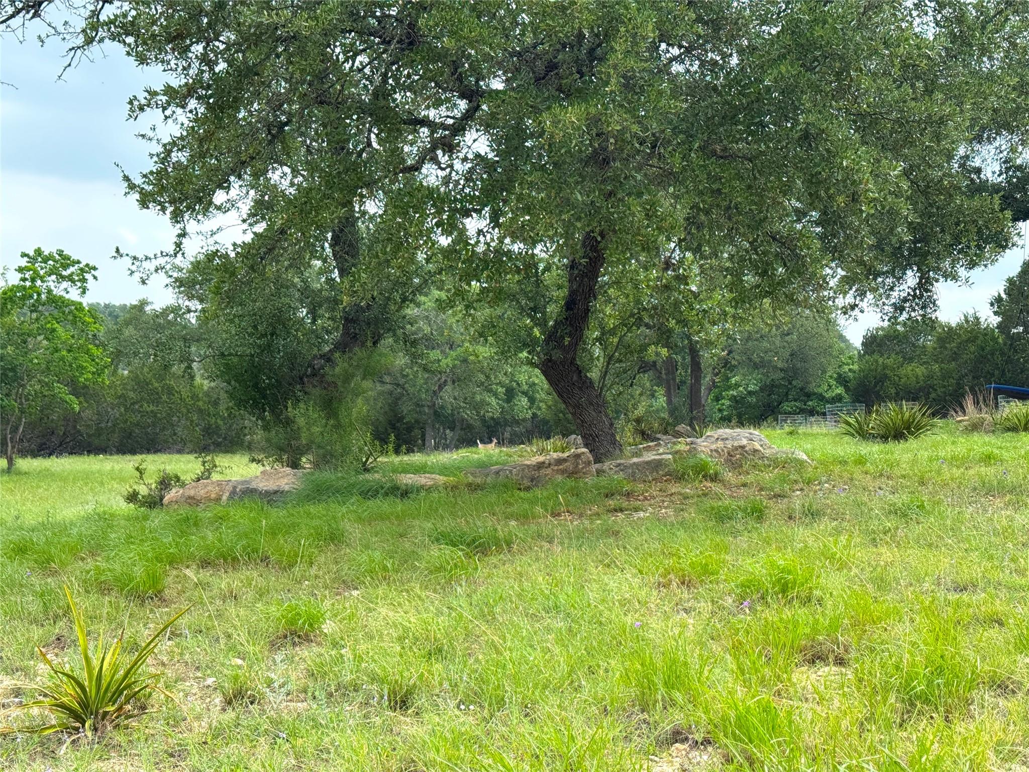 726 Caballo Trail Canyon Lake TX 78133