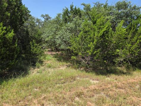 239 George Strait Canyon Lake TX 78133