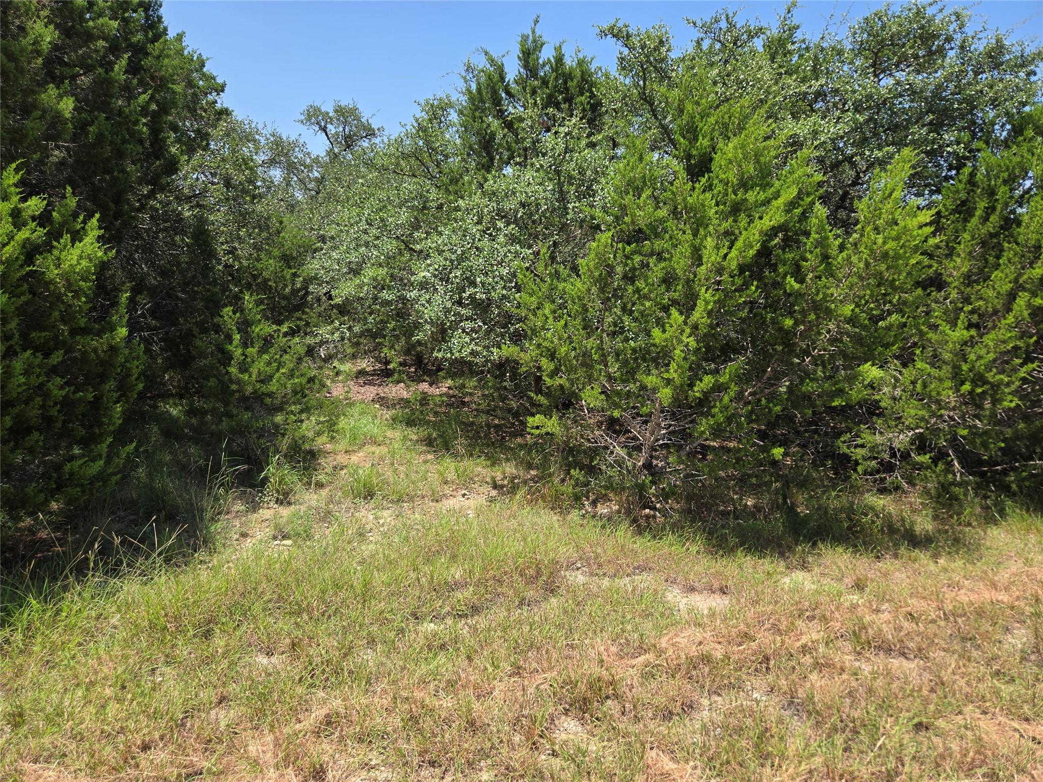 239 George Strait Canyon Lake TX 78133