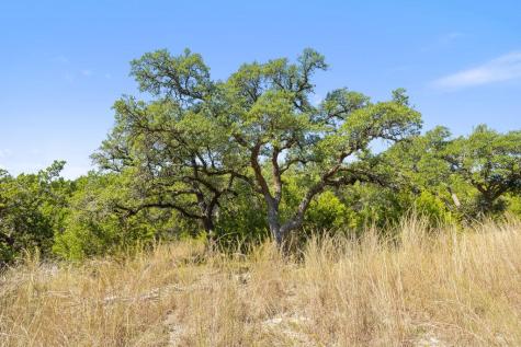 Tract 3 Of 5818 Ranch Road 165 Blanco TX 78606