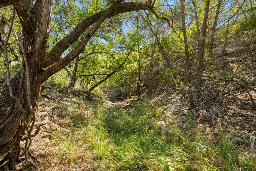 Tract 3 Of 5818 Ranch Road 165 Blanco TX 78606