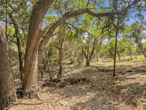 369 Onion Creek Lane Blanco TX 78606
