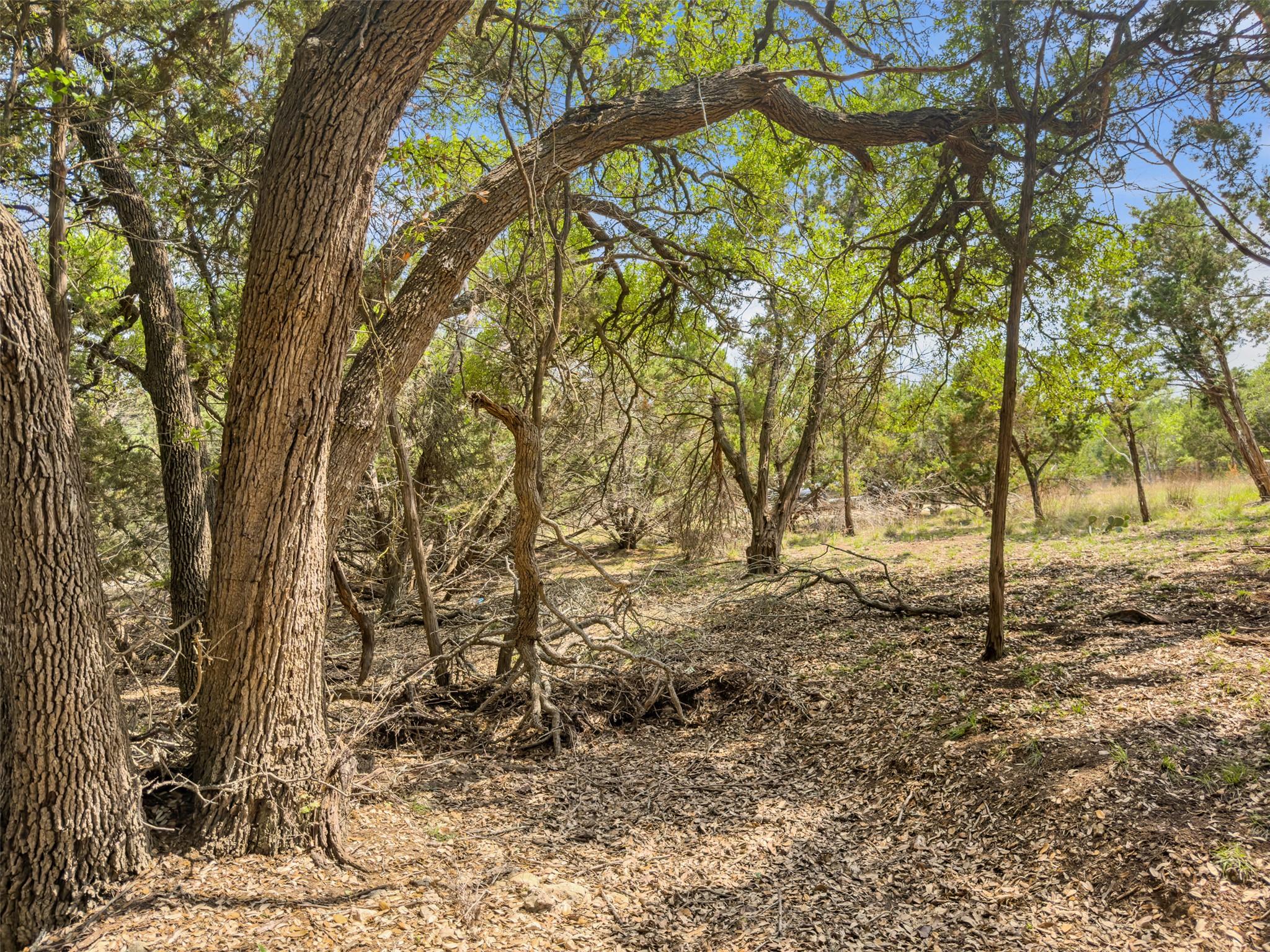 369 Onion Creek Lane Blanco TX 78606