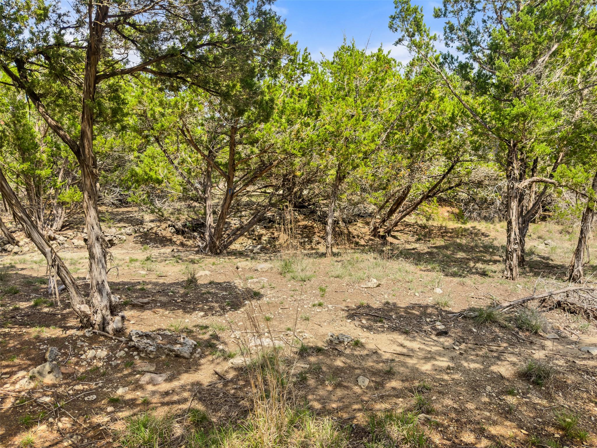 369 Onion Creek Lane Blanco TX 78606