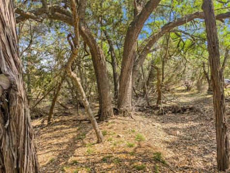 369 Onion Creek Lane Blanco TX 78606