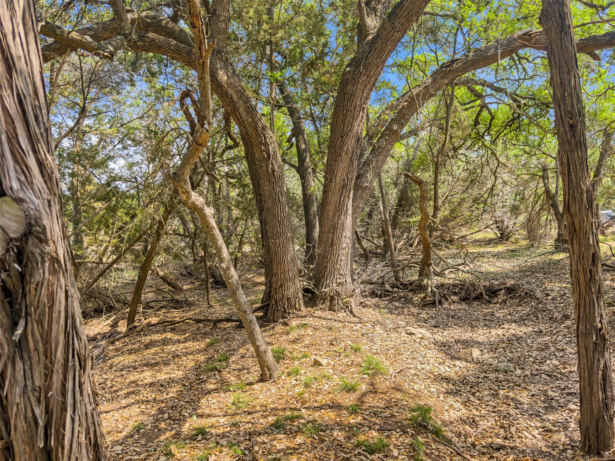 369 Onion Creek Lane Blanco TX 78606