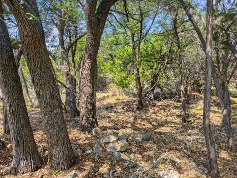 369 Onion Creek Lane Blanco TX 78606