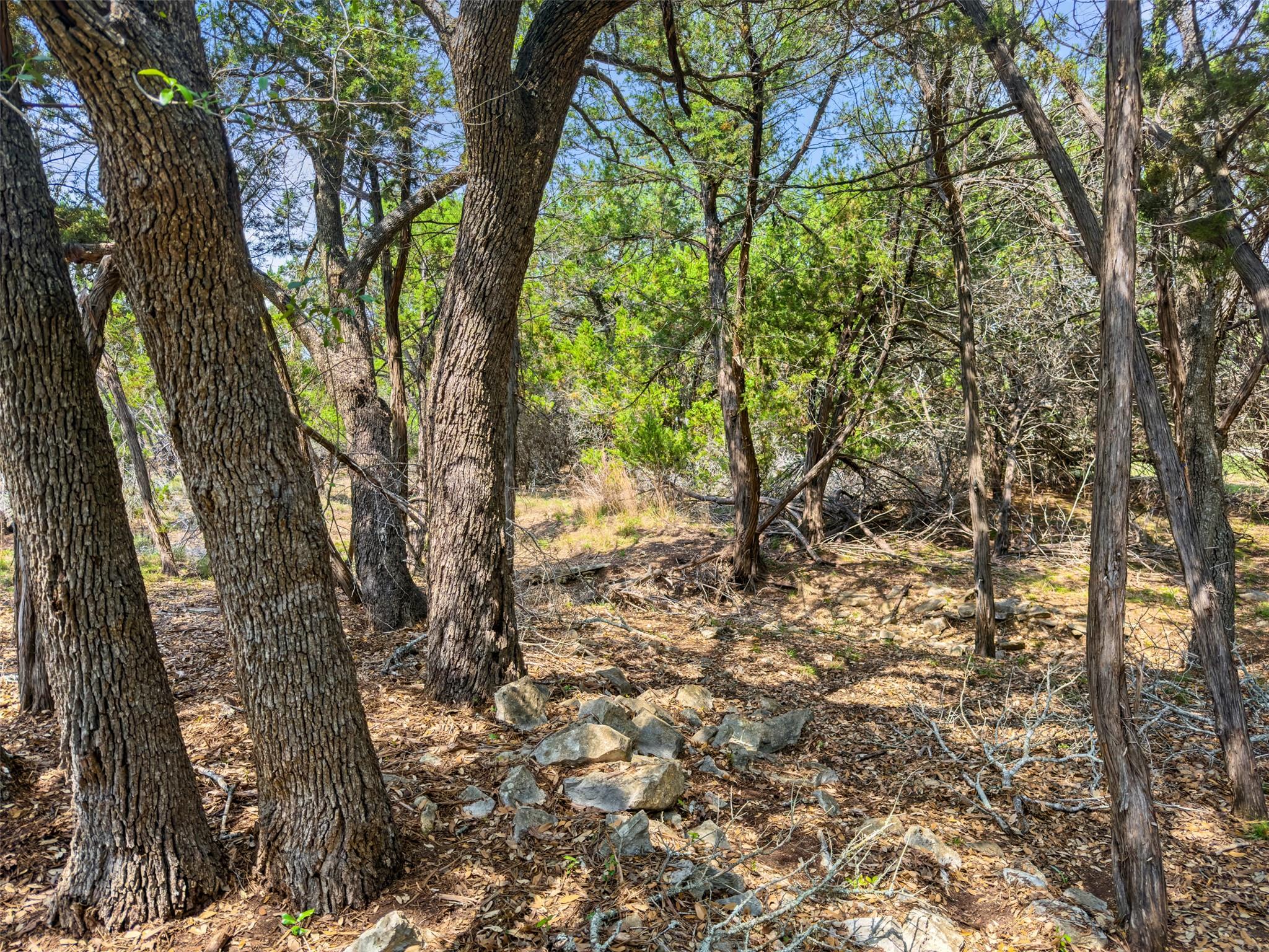 369 Onion Creek Lane Blanco TX 78606