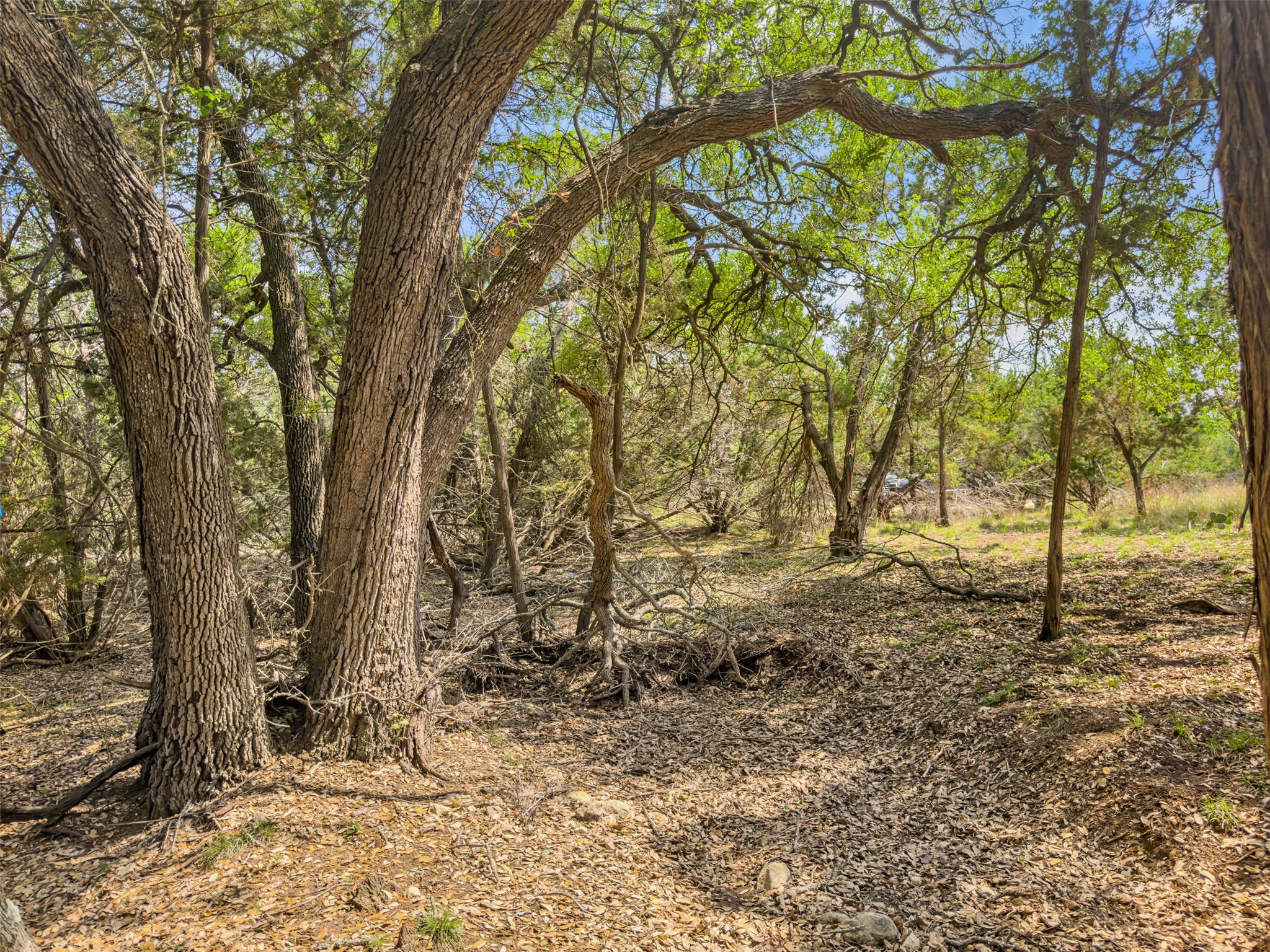369 Onion Creek Lane Blanco TX 78606